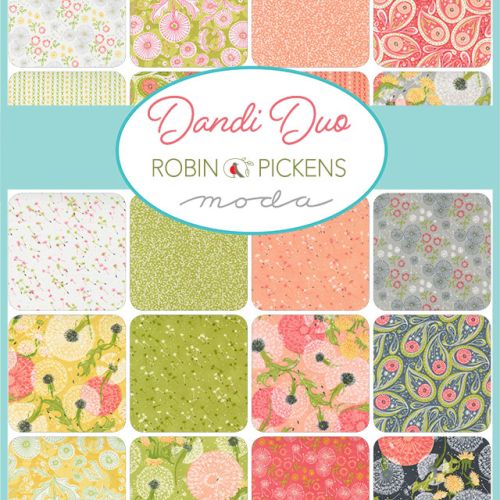 Robin Pickens: Dandi Duo