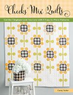 checks mix quilts book