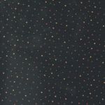 9769 19